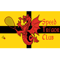 Crossminton