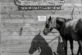 EQUINATURE